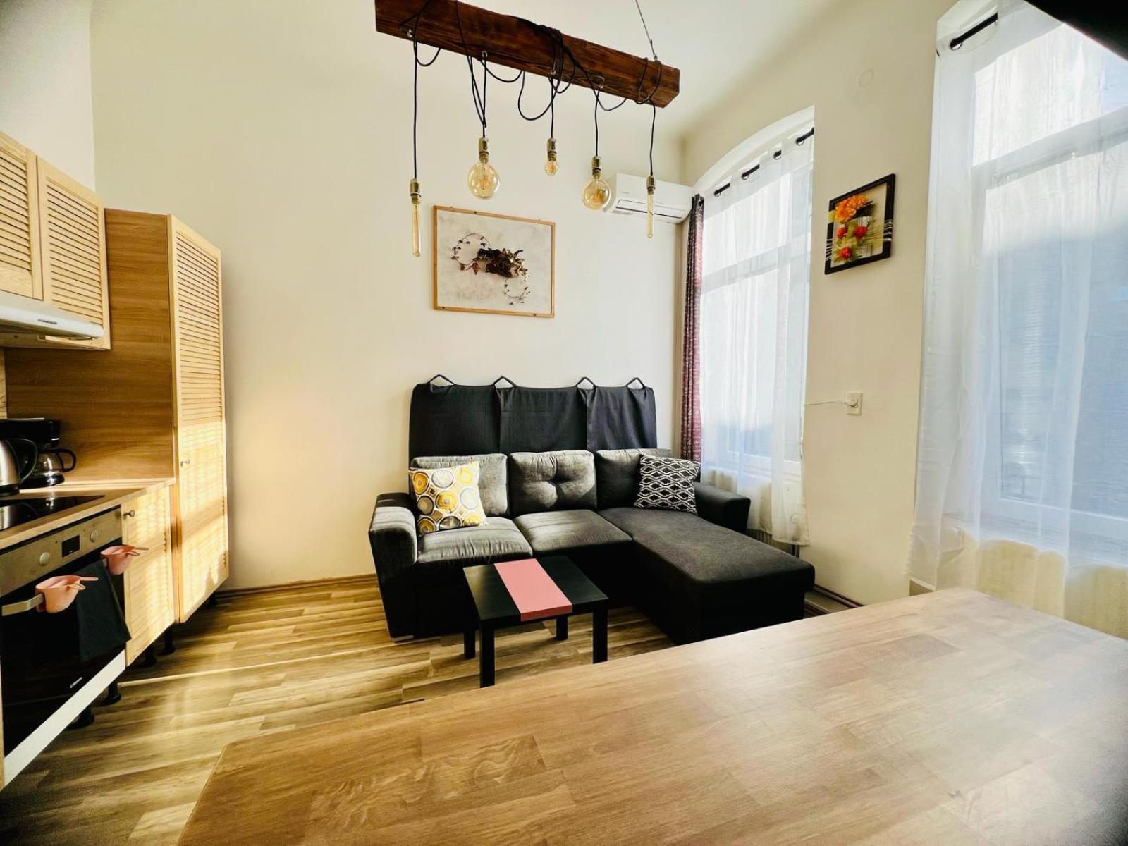 Apartmán Elizabeth Brašov Exteriér fotografie